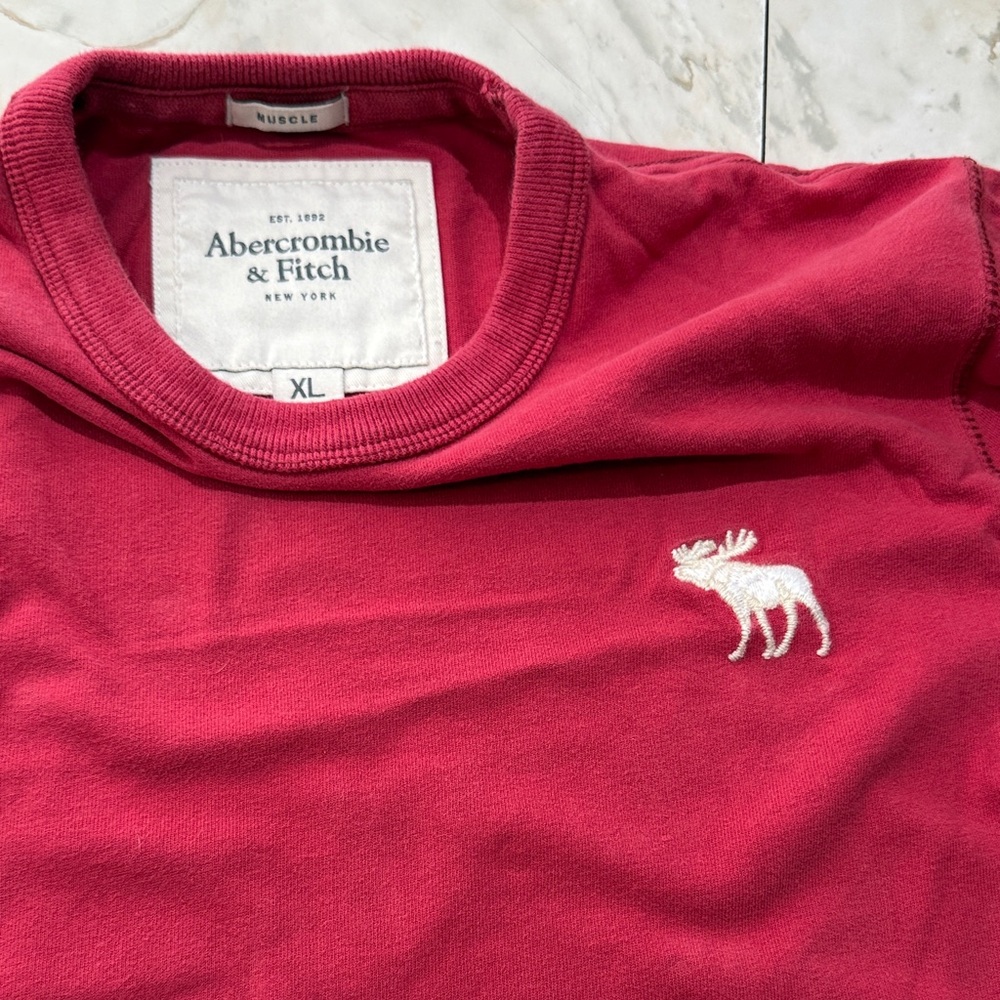 Abercrombie & Fitch Burgundy Crewneck